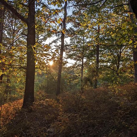 Loblolly Pines Adventure Cabin 3 - King Eureka Springs Eksteriør bilde