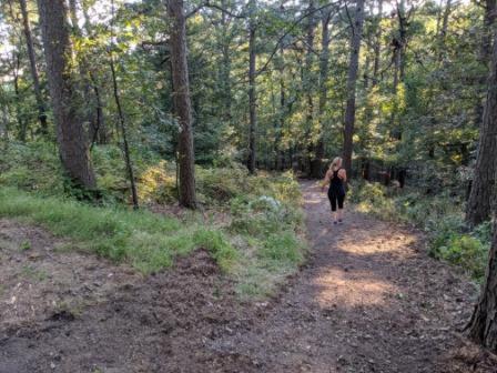 Loblolly Pines Adventure Cabin 3 - King Eureka Springs Eksteriør bilde