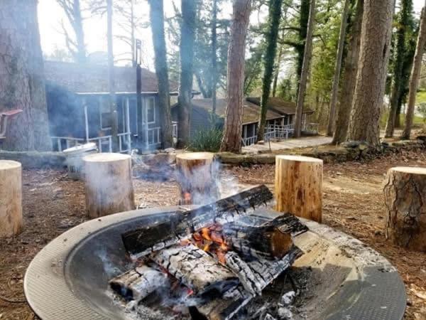 Loblolly Pines Adventure Cabin 3 - King Eureka Springs Eksteriør bilde